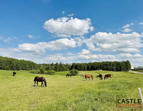 Działka na sprzedaż, Borek Kamienny, 1271 m²