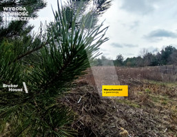 Morizon WP ogłoszenia | Działka na sprzedaż, Nowy Prażmów, 8980 m² | 1580