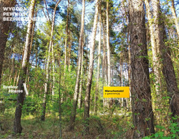 Morizon WP ogłoszenia | Działka na sprzedaż, Warszawa Zielona-Grzybowa, 68000 m² | 7446