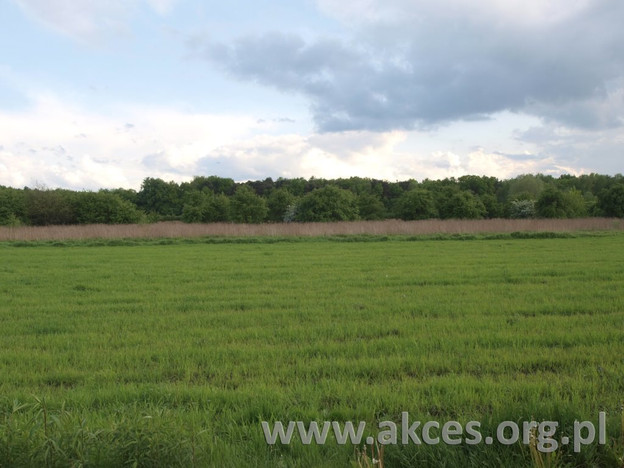 Morizon WP ogłoszenia | Działka na sprzedaż, Duchnów, 3500 m² | 8593