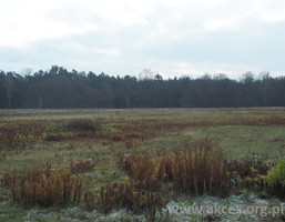 Morizon WP ogłoszenia | Działka na sprzedaż, Emów, 13200 m² | 8552