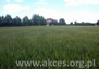 Morizon WP ogłoszenia | Działka na sprzedaż, Aleksandrowo, 9966 m² | 8447