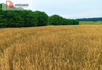 Morizon WP ogłoszenia | Działka na sprzedaż, Osówiec, 862 m² | 3860