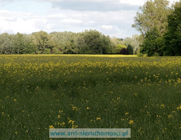 Morizon WP ogłoszenia | Działka na sprzedaż, Łazy Al. KRAKOWSKA, 7000 m² | 5298