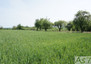 Morizon WP ogłoszenia | Działka na sprzedaż, Czułówek, 2800 m² | 0811