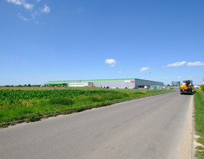 Działka na sprzedaż, Teresin, 60000 m²