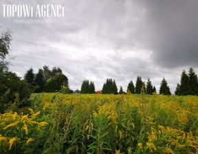 Działka na sprzedaż, Kolonia Lesznowola Fabryczna, 1399 m²