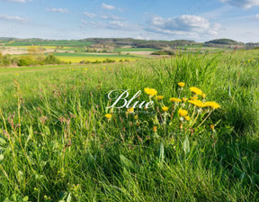 Działka na sprzedaż, Bielkowo, 1385 m²