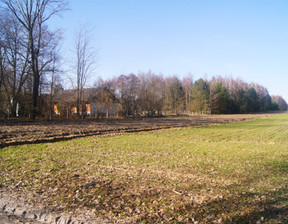 Działka na sprzedaż, Kuśnie, 9700 m²