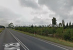 Morizon WP ogłoszenia | Działka na sprzedaż, Chmielniki, 42200 m² | 9927