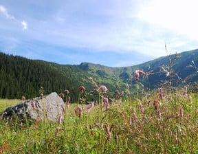 Mieszkanie na sprzedaż, Kościelisko Mocarni, 62 m²