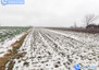 Morizon WP ogłoszenia | Działka na sprzedaż, Sieciechowice, 3332 m² | 9988