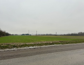 Działka do wynajęcia, Janki Sokołowska, 5000 m²