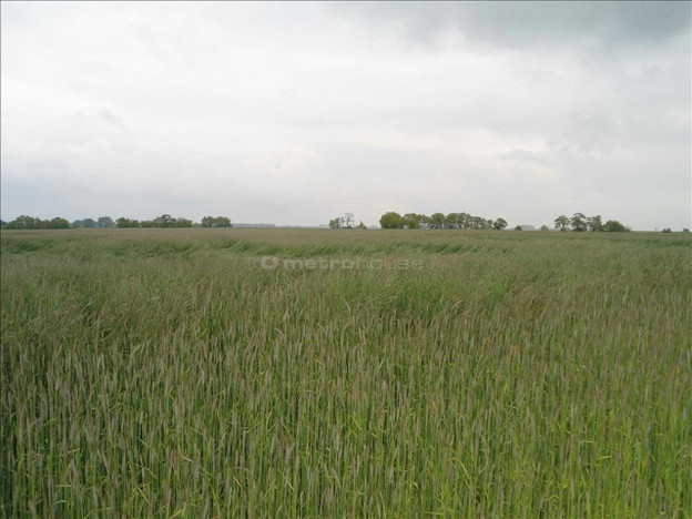 Morizon WP ogłoszenia | Działka na sprzedaż, Kobylniki, 39969 m² | 4626