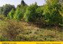 Morizon WP ogłoszenia | Działka na sprzedaż, Gruszczyn, 16800 m² | 6695