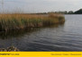 Morizon WP ogłoszenia | Działka na sprzedaż, Zborowo, 4395 m² | 6583