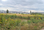 Morizon WP ogłoszenia | Działka na sprzedaż, Rabowice, 10723 m² | 0244