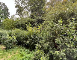 Morizon WP ogłoszenia | Mieszkanie na sprzedaż, Wrocław Borek, 51 m² | 9633