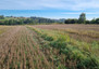 Morizon WP ogłoszenia | Działka na sprzedaż, Giebułtów Graniczna, 6000 m² | 7088