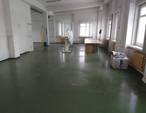 Biuro do wynajęcia, Łódź Teofilów, 150 m²