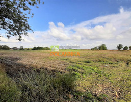 Morizon WP ogłoszenia | Działka na sprzedaż, Mała Nieszawka, 3000 m² | 2826