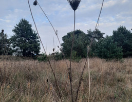 Morizon WP ogłoszenia | Działka na sprzedaż, Murowana Goślina, 1800 m² | 3635