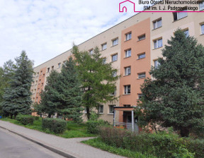 Mieszkanie na sprzedaż, Katowice Szopienice, 60 m²