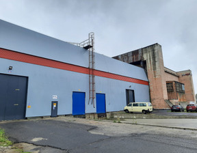 Fabryka, zakład na sprzedaż, Jelcz-Laskowice Techników, 40000 m²