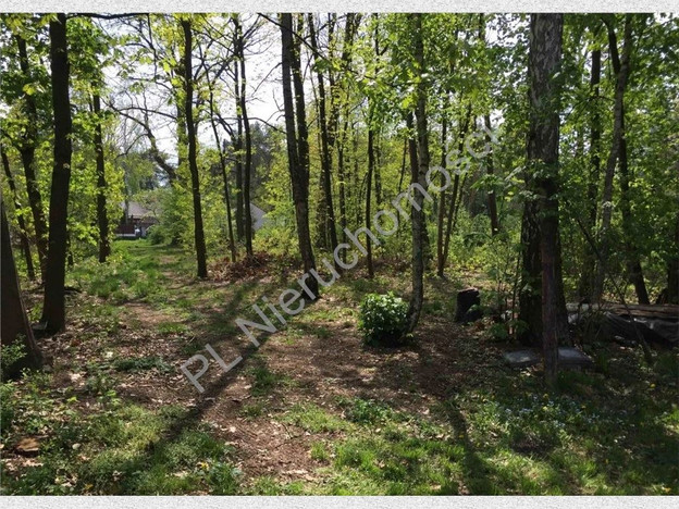 Morizon WP ogłoszenia | Działka na sprzedaż, Międzyborów, 2330 m² | 4181