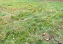 Morizon WP ogłoszenia | Działka na sprzedaż, Owczarnia, 1680 m² | 9048