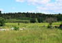 Morizon WP ogłoszenia | Działka na sprzedaż, Wójtowo, 1285 m² | 8198