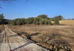 Morizon WP ogłoszenia | Działka na sprzedaż, Czernikowo, 3000 m² | 6611