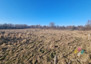 Morizon WP ogłoszenia | Działka na sprzedaż, Brzydowo, 6539 m² | 7769