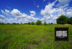 Morizon WP ogłoszenia | Działka na sprzedaż, Borzęcin Duży, 4902 m² | 4949