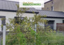Morizon WP ogłoszenia | Dom na sprzedaż, Grodzisk Mazowiecki, 137 m² | 5994