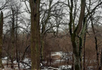 Morizon WP ogłoszenia | Działka na sprzedaż, Józefów, 5000 m² | 6998