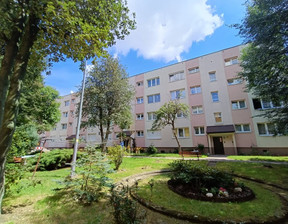 Mieszkanie na sprzedaż, Zgorzelec, 42 m²