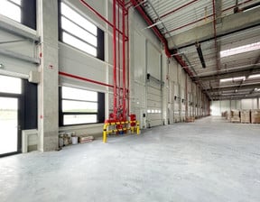 Magazyn, hala do wynajęcia, Łódź Górna, 4000 m²