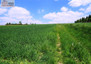 Morizon WP ogłoszenia | Działka na sprzedaż, Władysław, 1582 m² | 0235