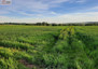Morizon WP ogłoszenia | Działka na sprzedaż, Brończyce, 11200 m² | 8947