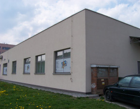 Lokal użytkowy do wynajęcia, Bielawa Jana III Sobieskiego, 145 m²
