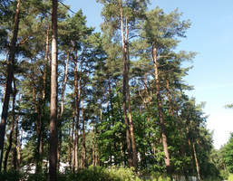 Morizon WP ogłoszenia | Działka na sprzedaż, Magdalenka, 2044 m² | 3413