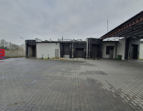 Magazyn do wynajęcia, Aleksandrów Łódzki, 1150 m²