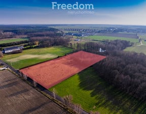 Działka na sprzedaż, Czmoń Kaszubska, 12901 m²