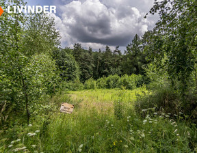 Działka na sprzedaż, Droginia, 3900 m²