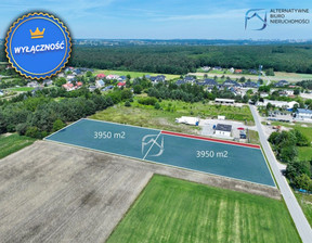 Działka na sprzedaż, Prawiedniki-Kolonia Prawiedniki Kolonia, 3950 m²