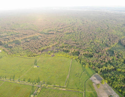 Morizon WP ogłoszenia | Działka na sprzedaż, Niepołomice, 30000 m² | 2349