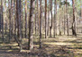 Morizon WP ogłoszenia | Działka na sprzedaż, Józefów Łąkowa, 5568 m² | 4335