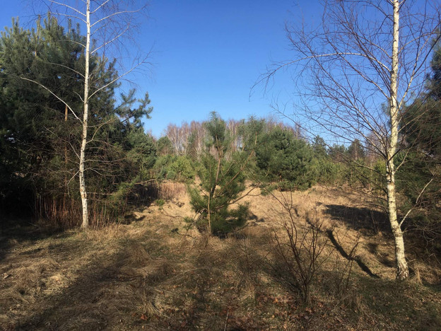 Morizon WP ogłoszenia | Działka na sprzedaż, Wojcieszyn, 1000 m² | 3983