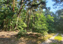 Morizon WP ogłoszenia | Działka na sprzedaż, Borzęcin Duży, 10100 m² | 4414
